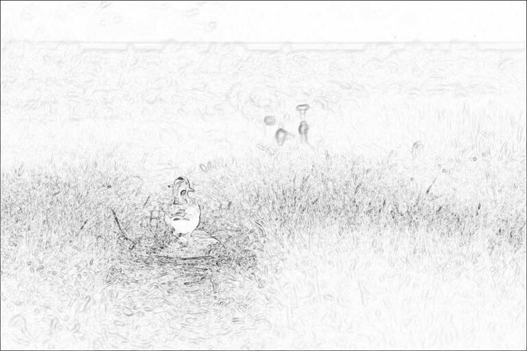 寄り道の先で - HLHS0006
