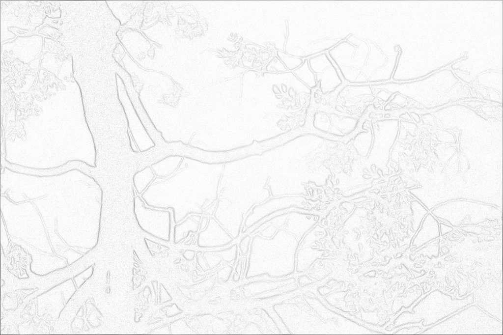 灰色の都市の枝の先 - HLHS0024